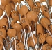 10 x ceramic capacitor 47 nf 50V RM 2.54